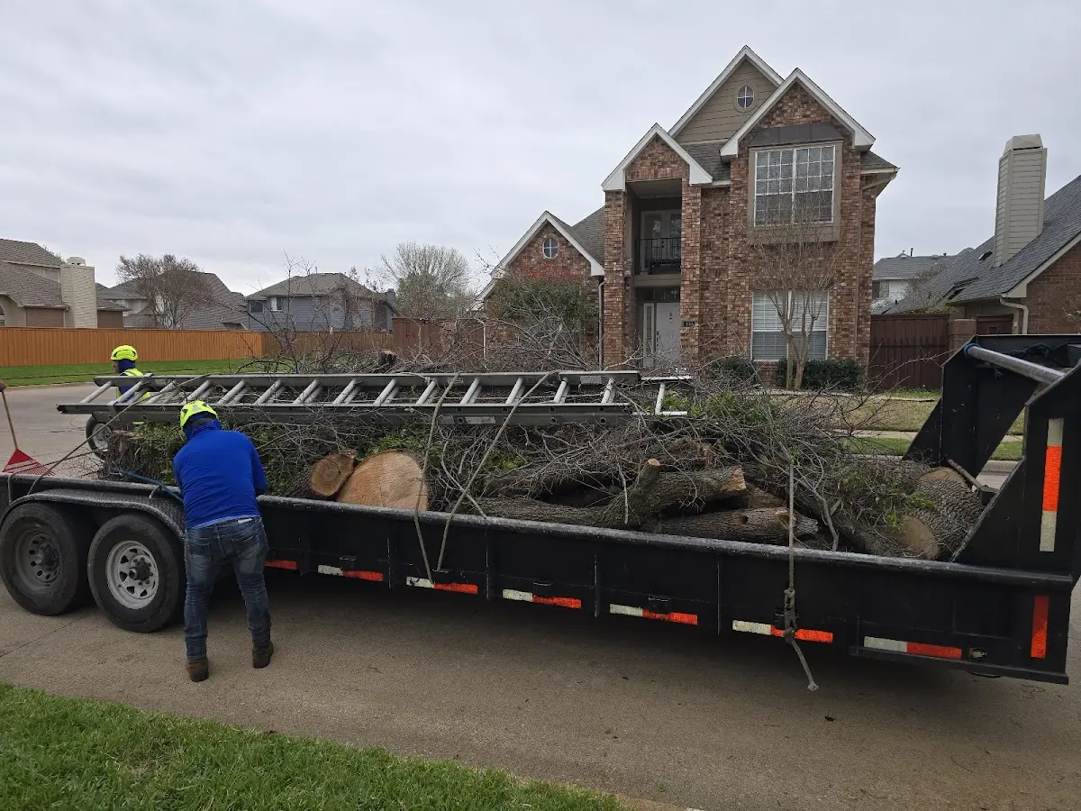 Expert Tree Fertilization with proper safety equipment in Everett